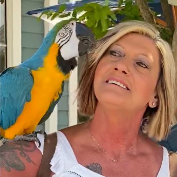 Meet your Posher, Peggy - Picture 1 of 1